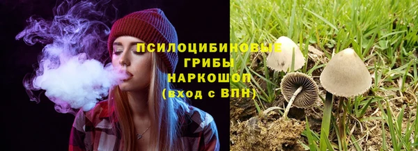 МДПВ Верея